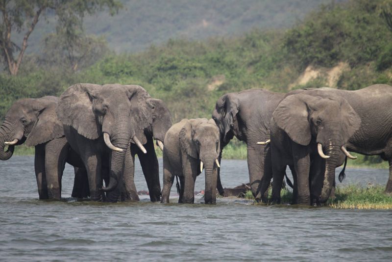 182