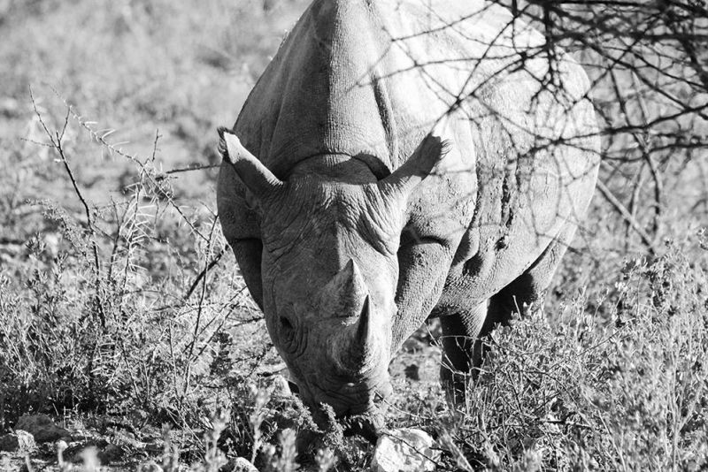 165