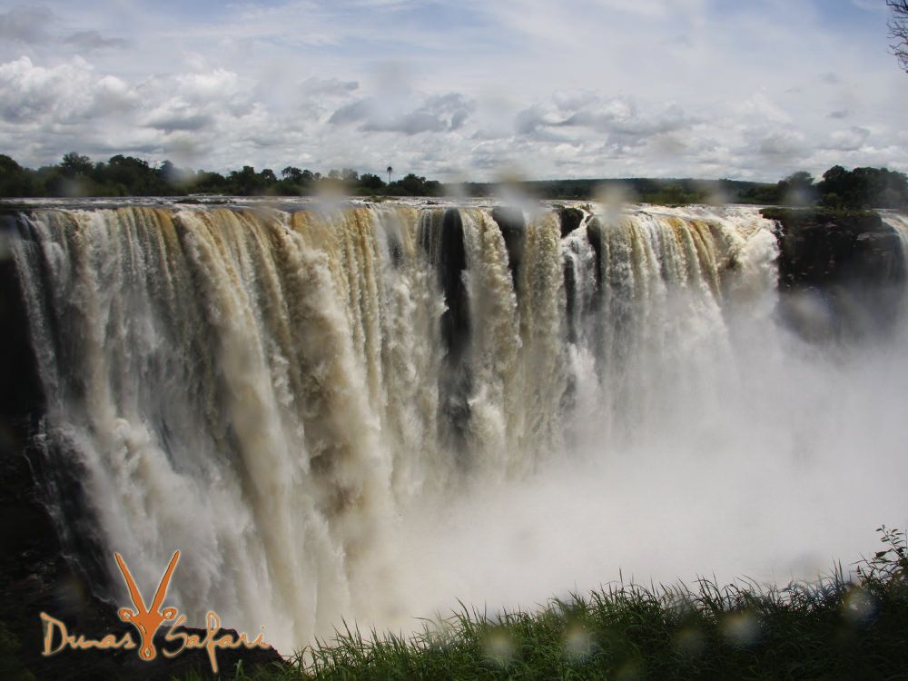 Victoria Falls Dunas Safari