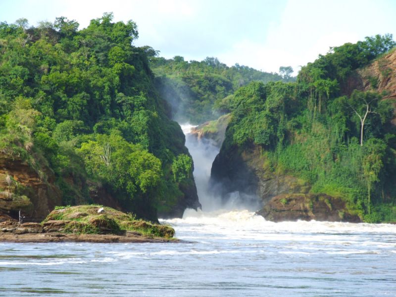 Uganda Safari Tour